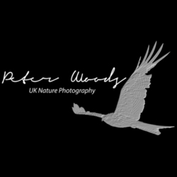 Pete W