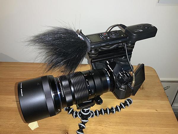 Click image for larger version

Name:	3FCB672C-8934-4CF8-A13E-69999CE4DE4B.jpeg
Views:	465
Size:	233.3 KB
ID:	776999