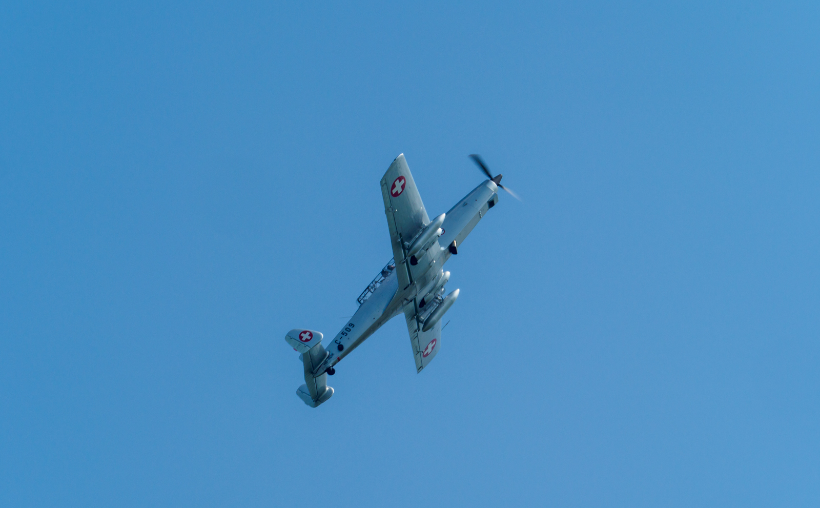 Click image for larger version  Name:	20180526-P5261774.jpg Views:	0 Size:	668.9 KB ID:	780432