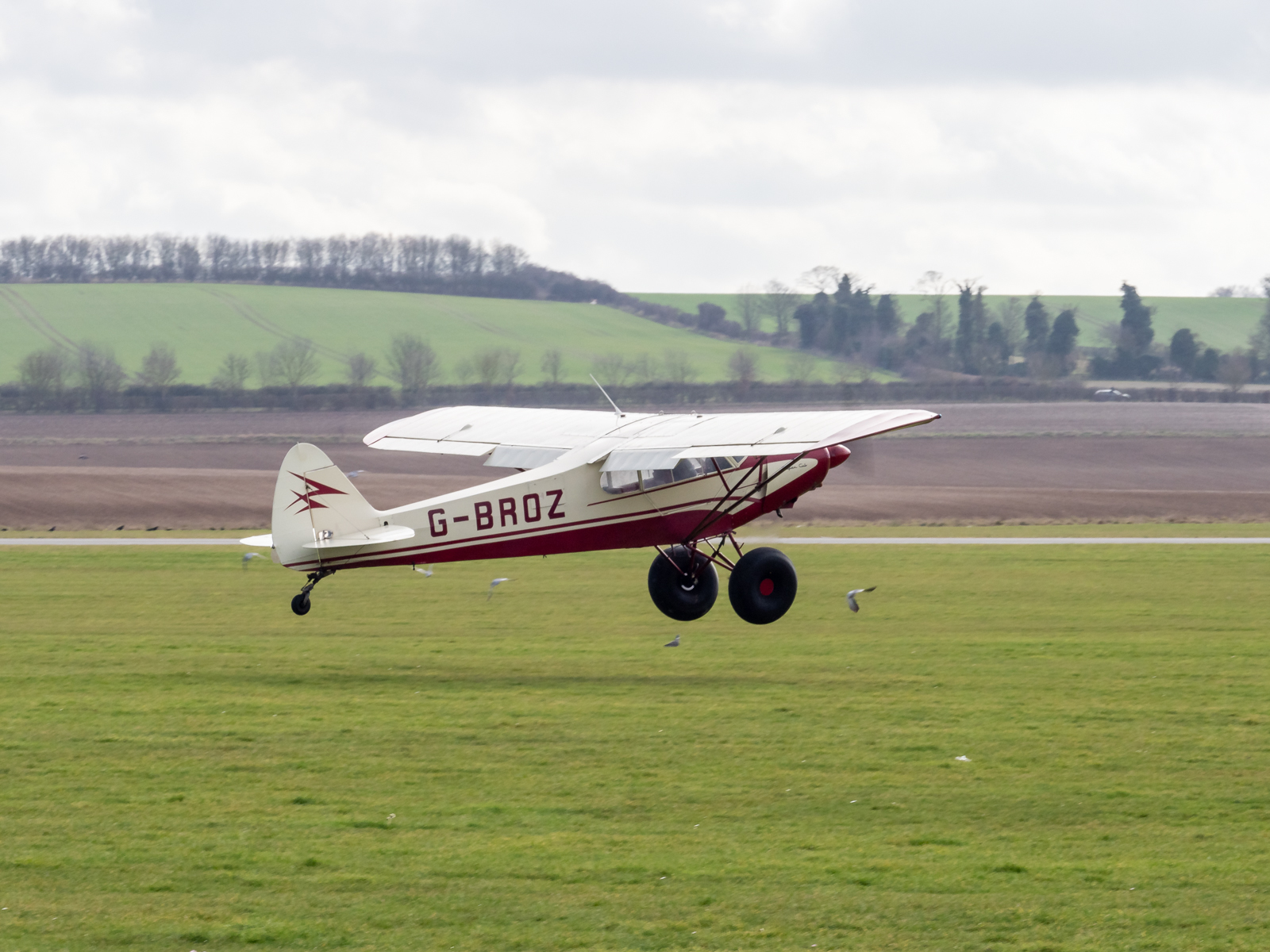 Click image for larger version

Name:	20190220-P2206812.jpg
Views:	369
Size:	976.7 KB
ID:	780443