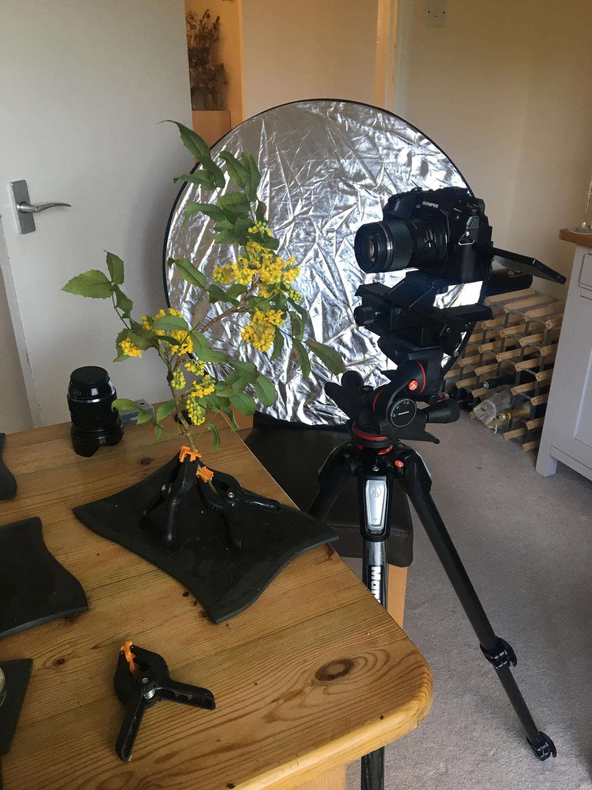 Click image for larger version

Name:	IMG_3572.jpeg
Views:	135
Size:	269.4 KB
ID:	783097