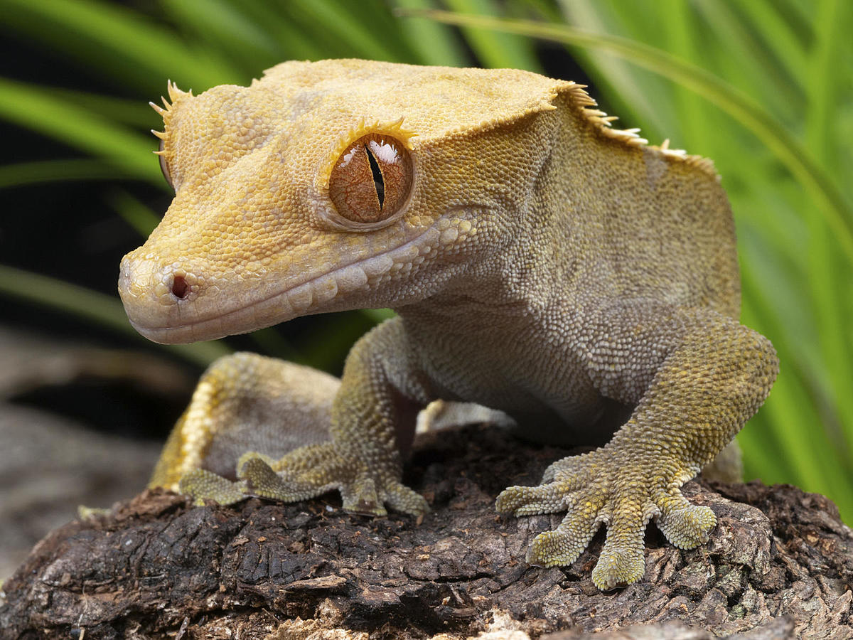 Click image for larger version

Name:	_1290003.jpg
Views:	92
Size:	341.0 KB
ID:	783251