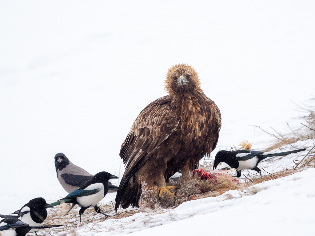 Click image for larger version  Name:	 Views:	0 Size:	431.5 KB ID:	784842