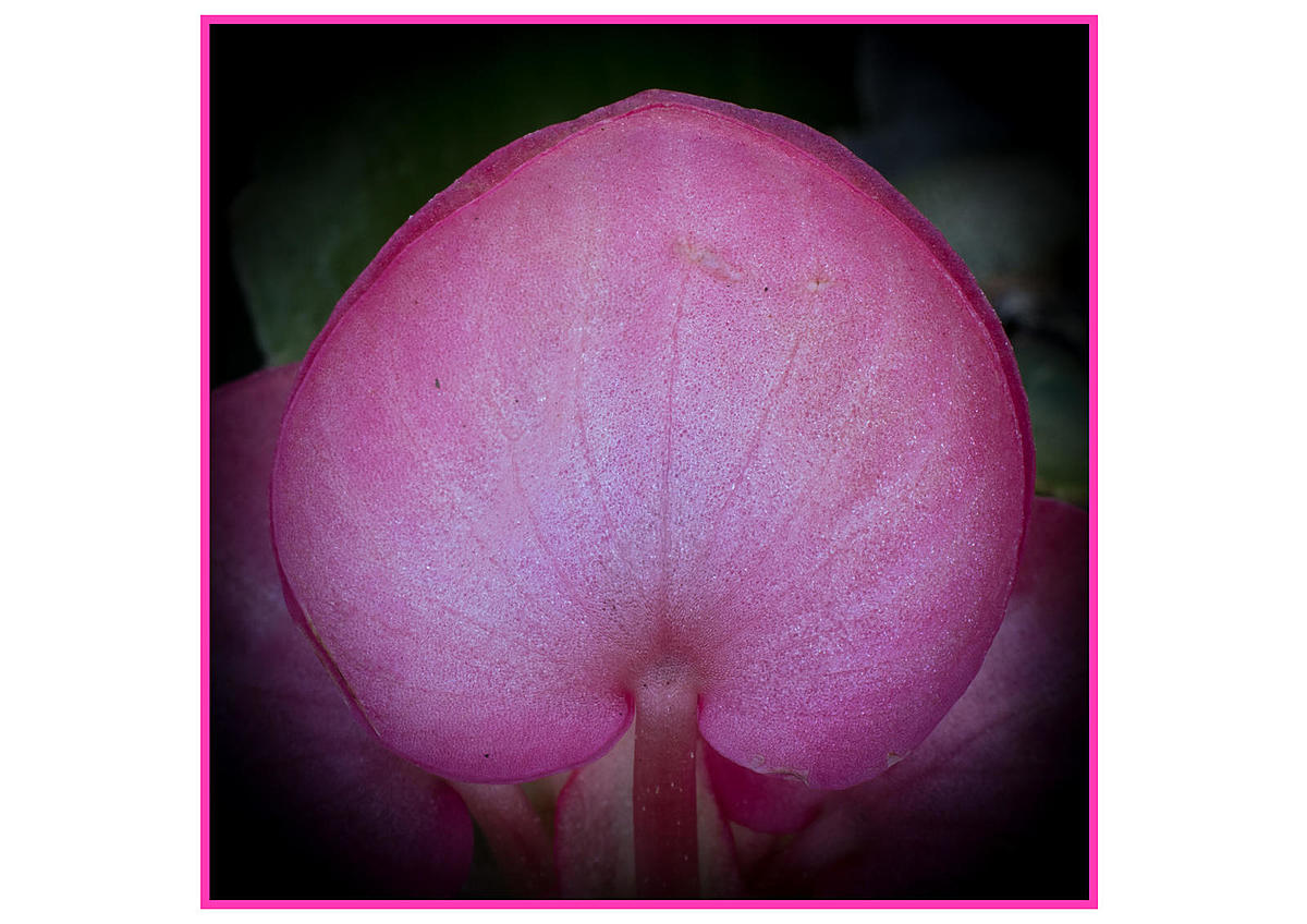 Click image for larger version

Name:	154.jpg
Views:	57
Size:	176.6 KB
ID:	788231