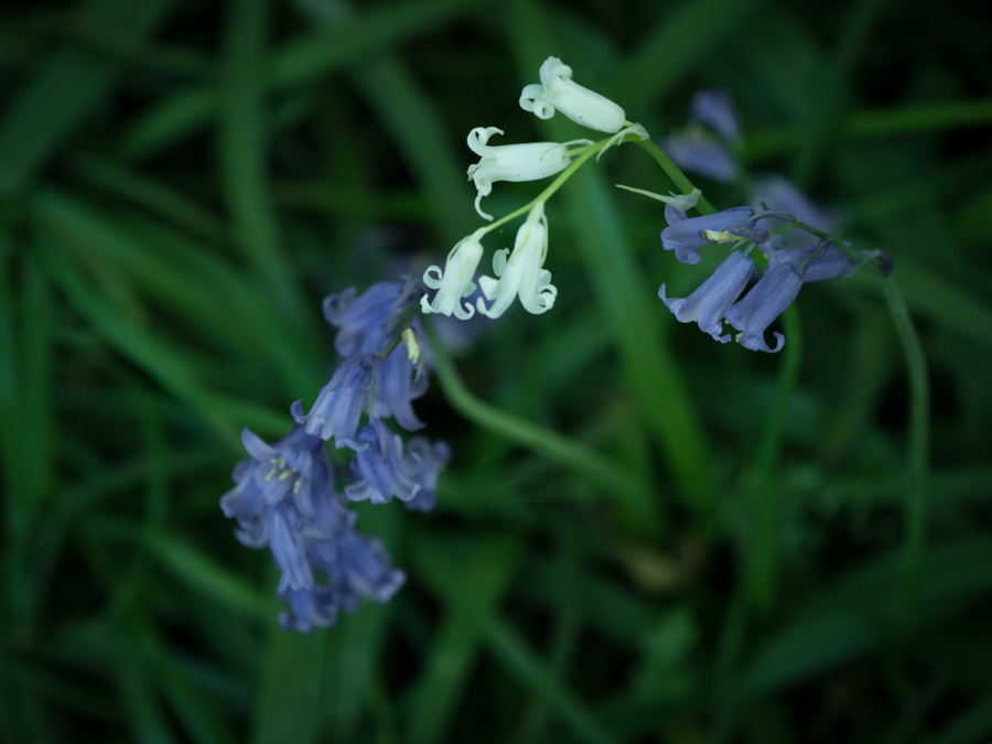 Click image for larger version

Name:	161.2 (1 of 1).jpg
Views:	46
Size:	291.3 KB
ID:	789926