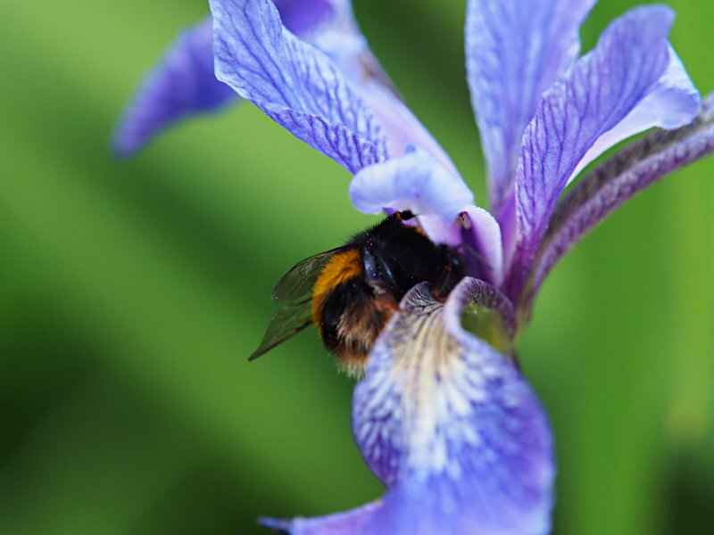 Click image for larger version

Name:	P6011124B2.jpg
Views:	73
Size:	80.8 KB
ID:	799670