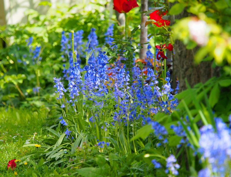 Click image for larger version

Name:	P4300490B2.jpg
Views:	65
Size:	170.2 KB
ID:	799671