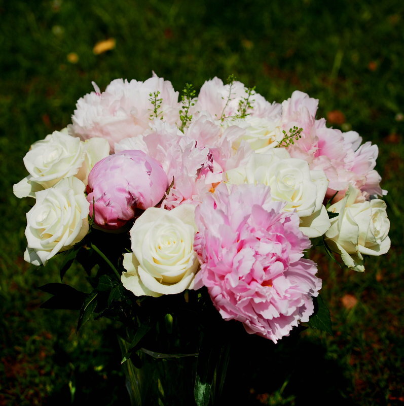 Click image for larger version

Name:	P6184327pseB3.jpg
Views:	44
Size:	137.8 KB
ID:	801608