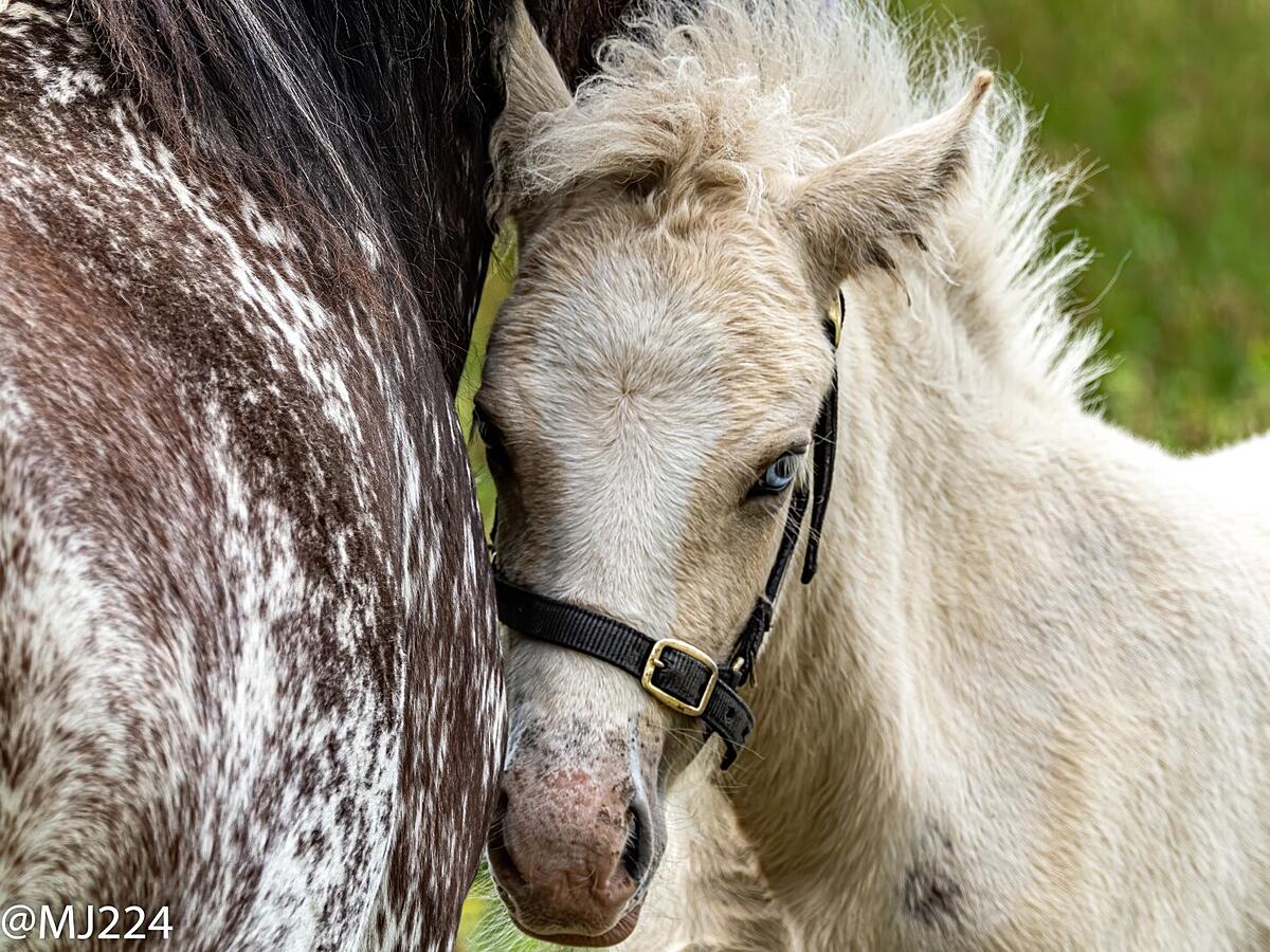 Click image for larger version

Name:	P7241414-Edit (Large).jpg
Views:	564
Size:	461.7 KB
ID:	805413