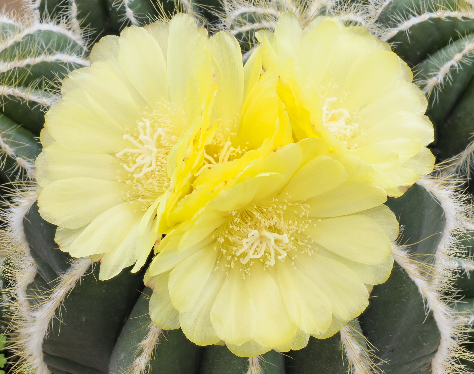 Click image for larger version  Name:	_8050094-2.jpg Views:	0 Size:	1.34 MB ID:	807784