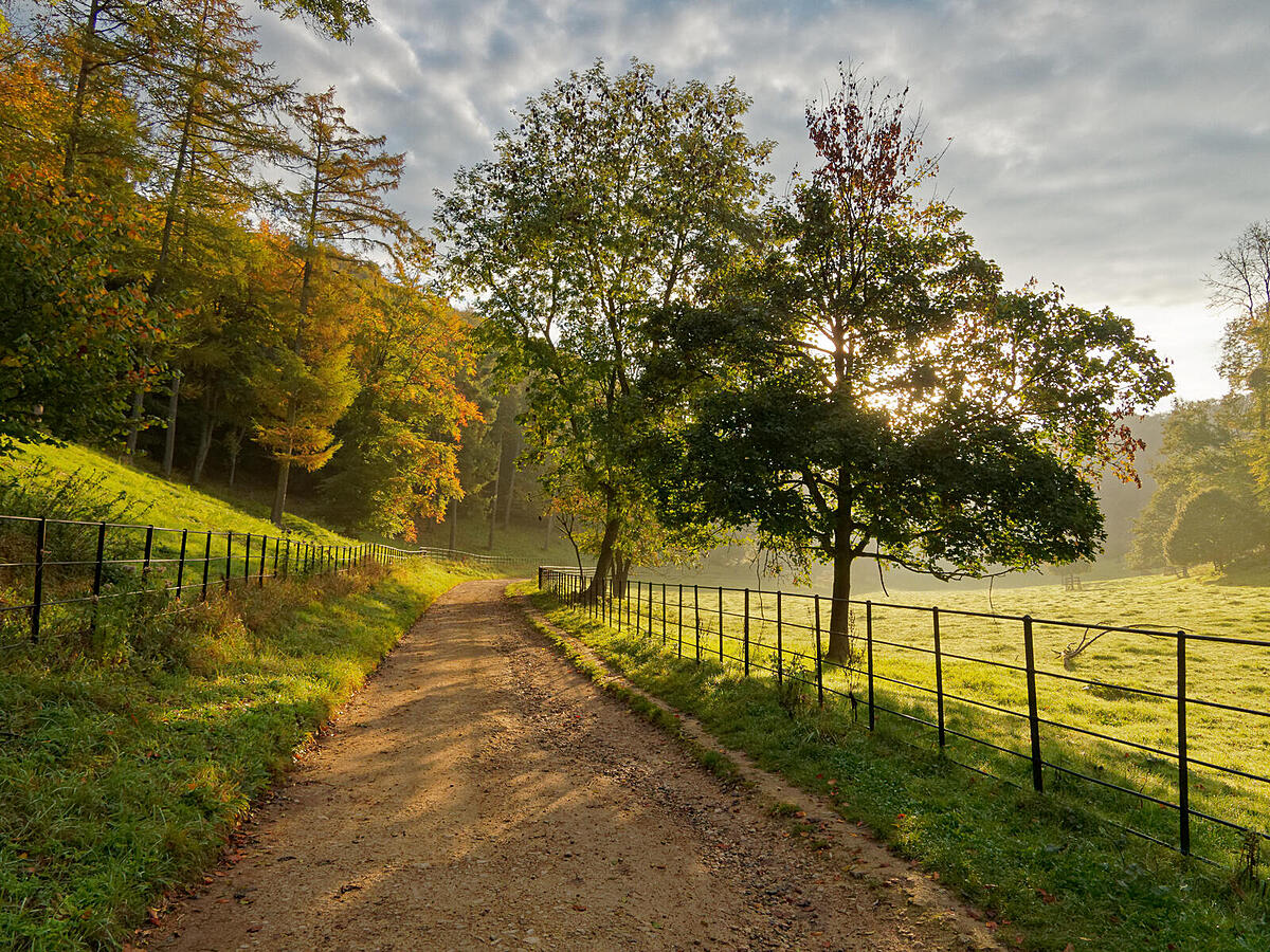 Click image for larger version

Name:	PA140013_DxO.jpg
Views:	133
Size:	579.0 KB
ID:	814175