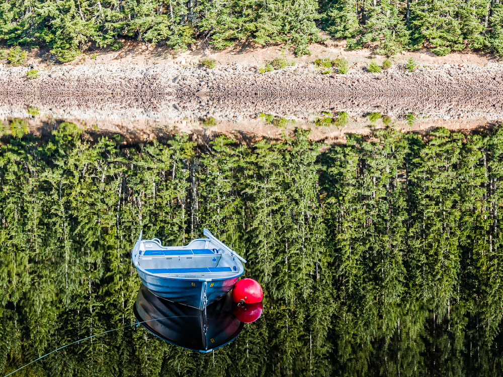 Click image for larger version

Name:	0204Achility62Floating on Trees.jpg
Views:	533
Size:	1.34 MB
ID:	815778