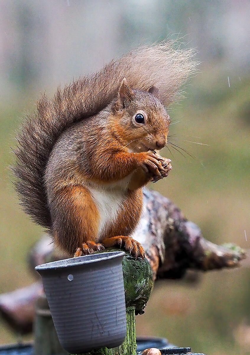 Click image for larger version

Name:	PB130114.jpg
Views:	160
Size:	1.30 MB
ID:	816900