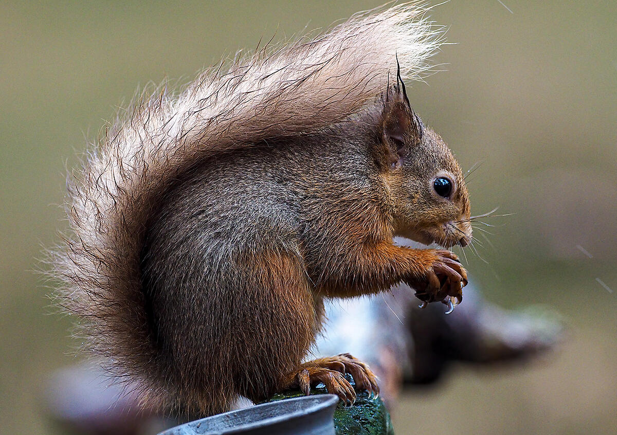 Click image for larger version

Name:	PB130168.jpg
Views:	134
Size:	1.80 MB
ID:	816901