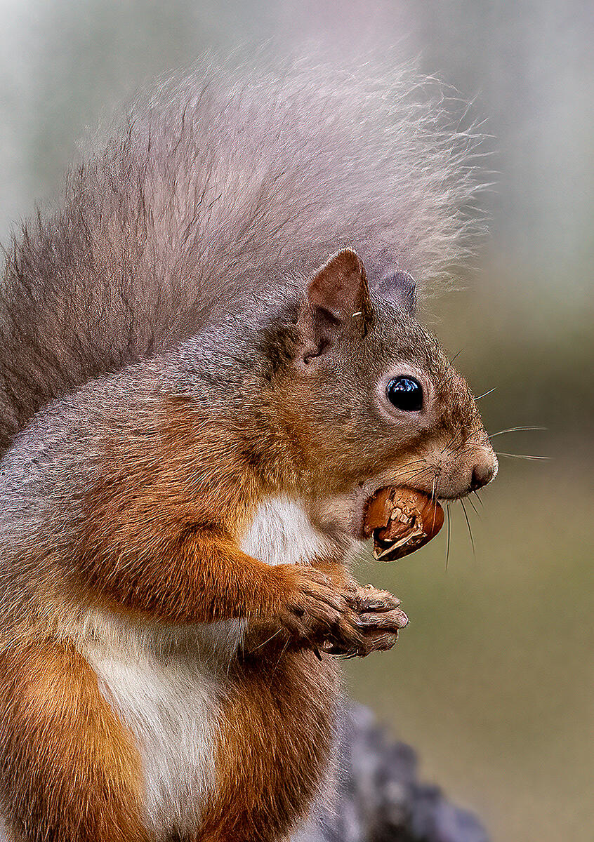 Click image for larger version

Name:	PB130505.jpg
Views:	133
Size:	2.10 MB
ID:	816905