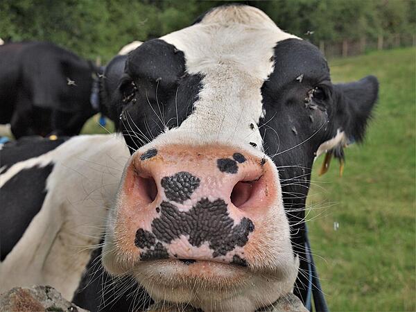 Click image for larger version

Name:	P7291424.jpg
Views:	335
Size:	260.4 KB
ID:	845252