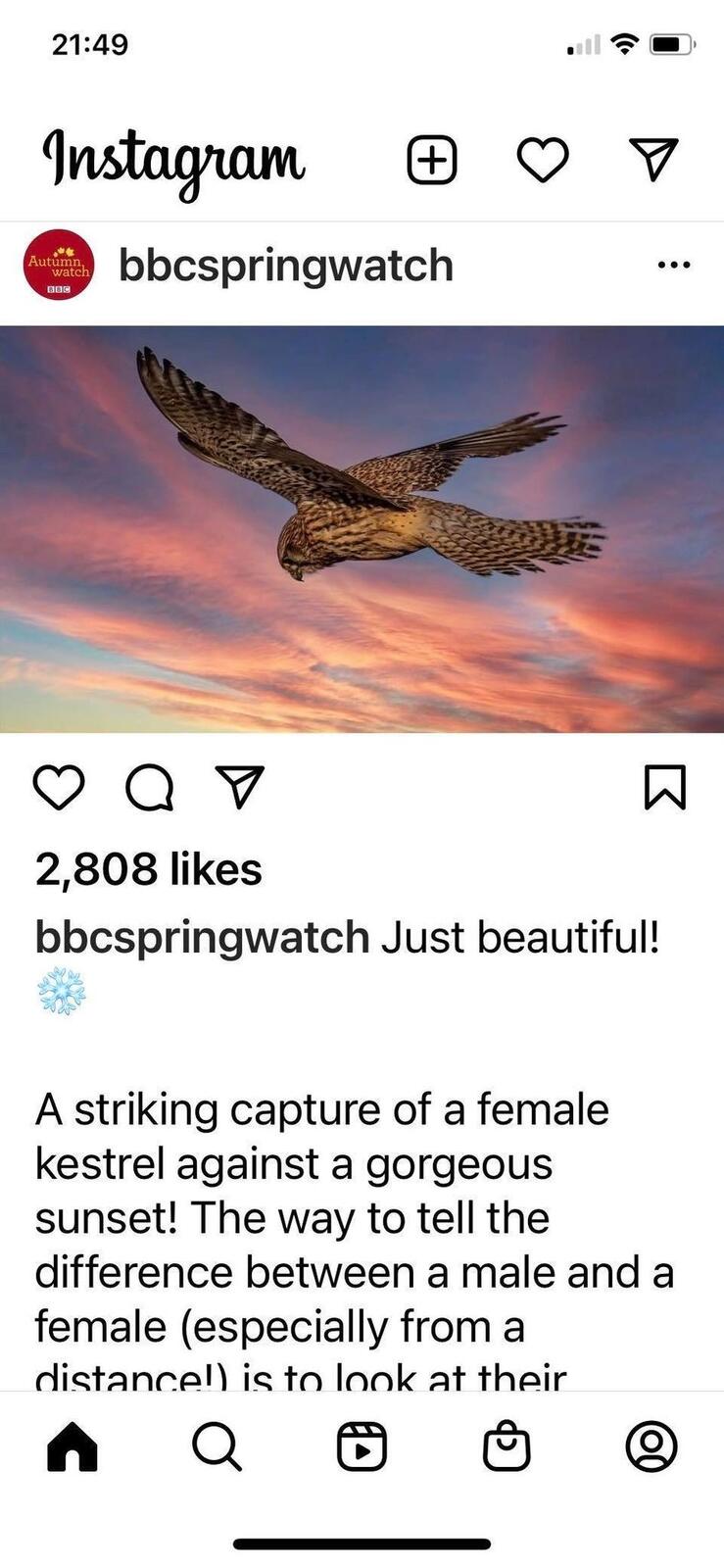 Click image for larger version

Name:	fame  at last  .jpeg
Views:	166
Size:	118.9 KB
ID:	820257