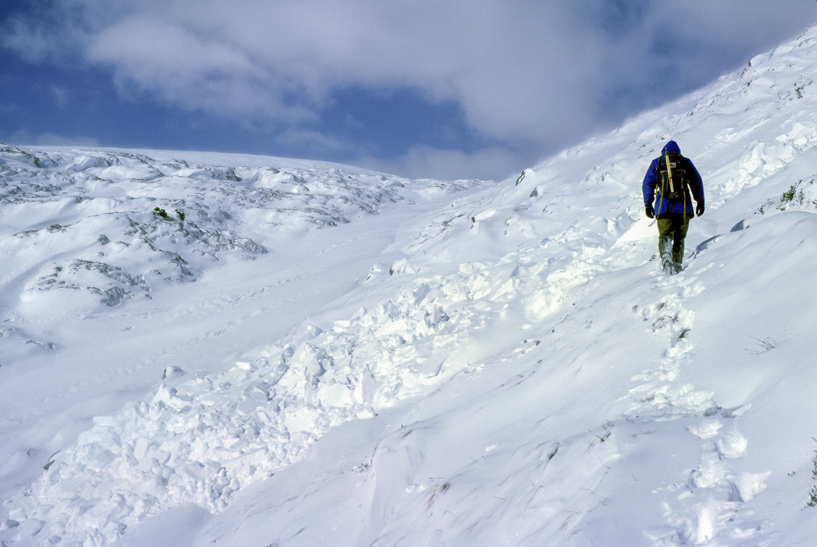 Click image for larger version

Name:	8102033A.jpg
Views:	139
Size:	1.16 MB
ID:	821660