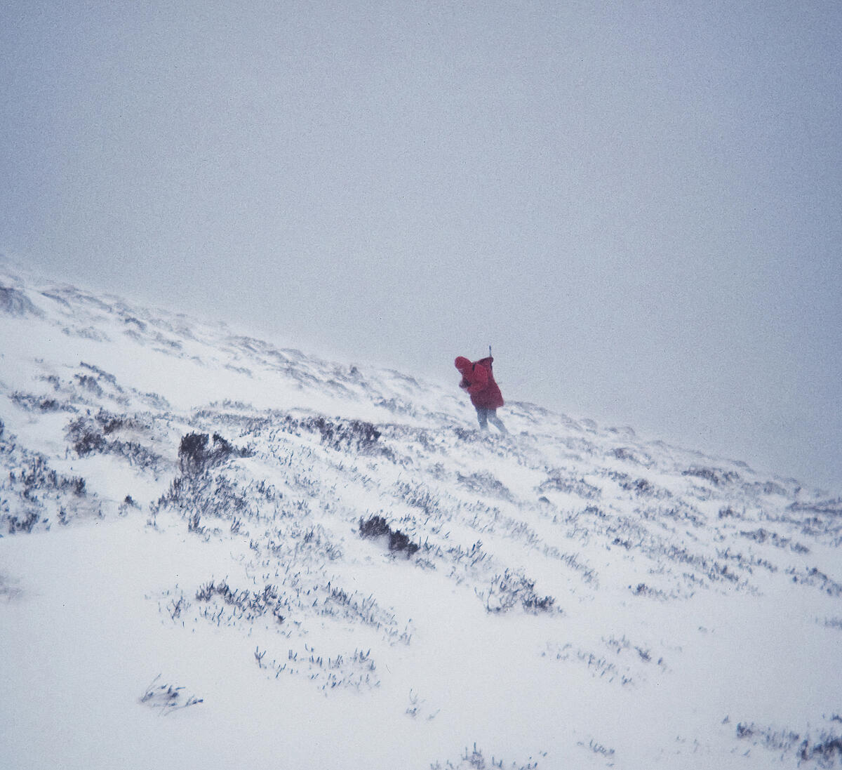 Click image for larger version

Name:	_C090100A.jpg
Views:	122
Size:	1.52 MB
ID:	821661