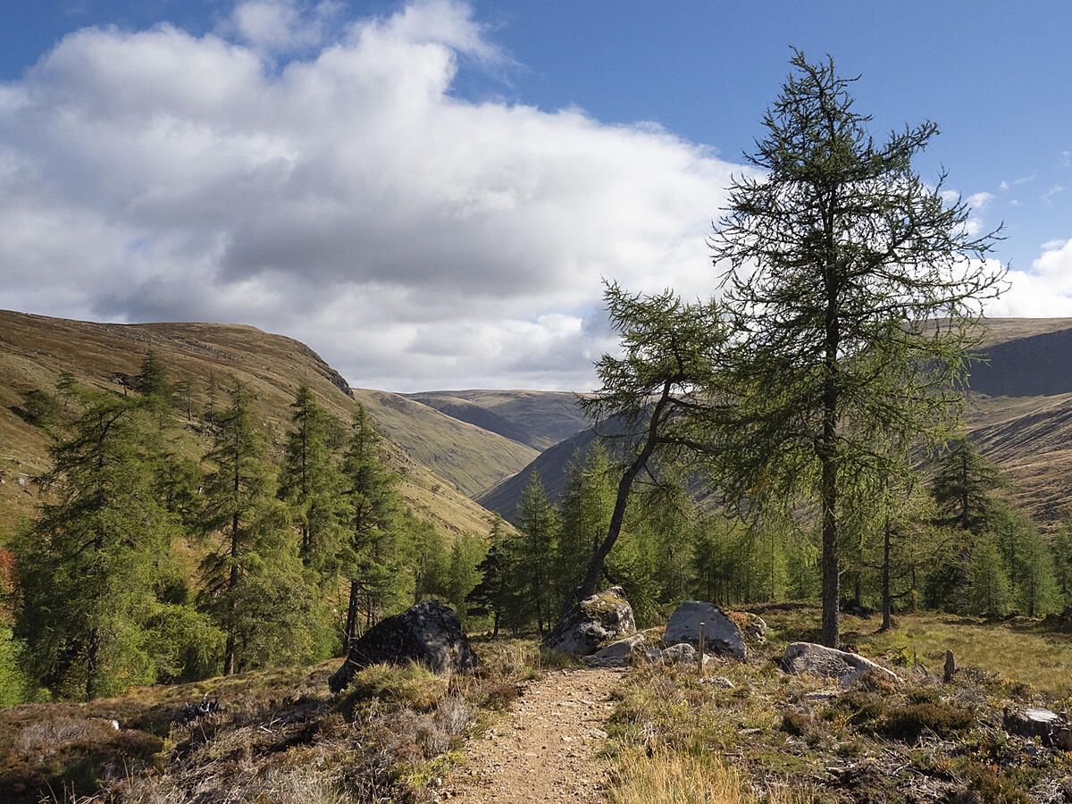 Click image for larger version

Name:	_9220173.jpg
Views:	110
Size:	1.81 MB
ID:	821667