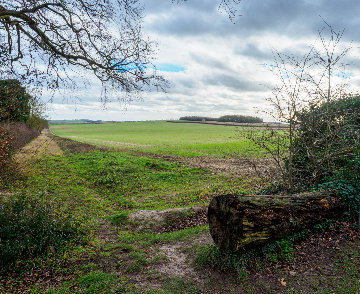 Click image for larger version  Name:	20210121-P1212338.jpg Views:	0 Size:	1.74 MB ID:	822989