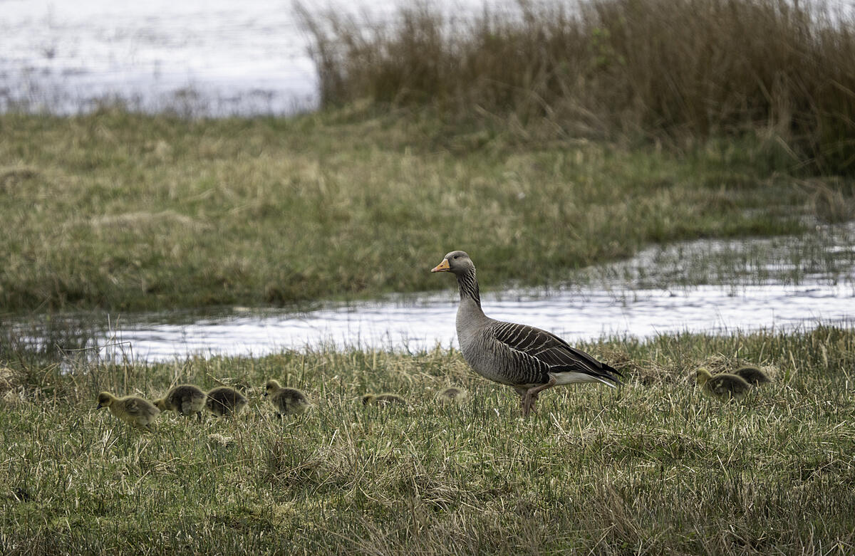 Click image for larger version

Name:	_5050042.jpg
Views:	268
Size:	1.32 MB
ID:	832432