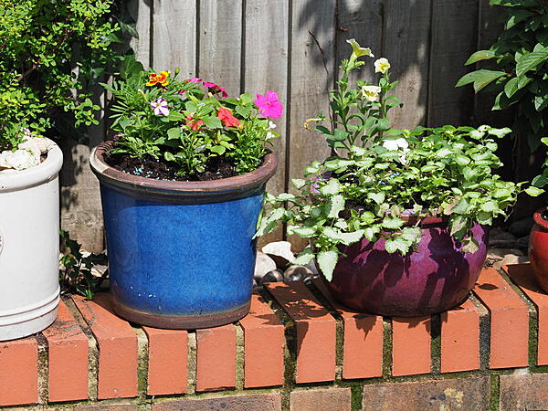 Click image for larger version

Name:	image_17447.jpg
Views:	1314
Size:	433.7 KB
ID:	837923