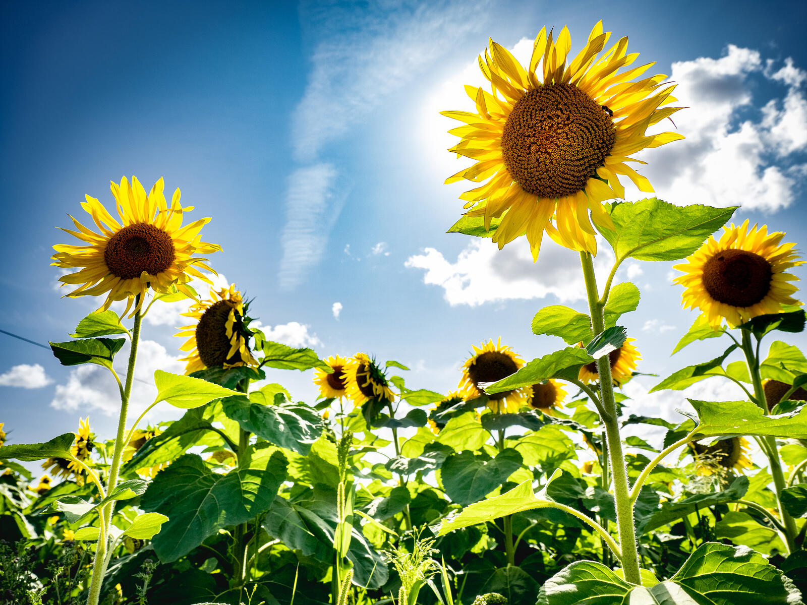 Click image for larger version

Name:	P8083321.jpg
Views:	118
Size:	525.2 KB
ID:	841894