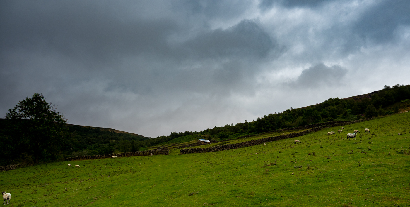 Click image for larger version  Name:	20210815-P8156433.jpg Views:	1 Size:	798.1 KB ID:	843013