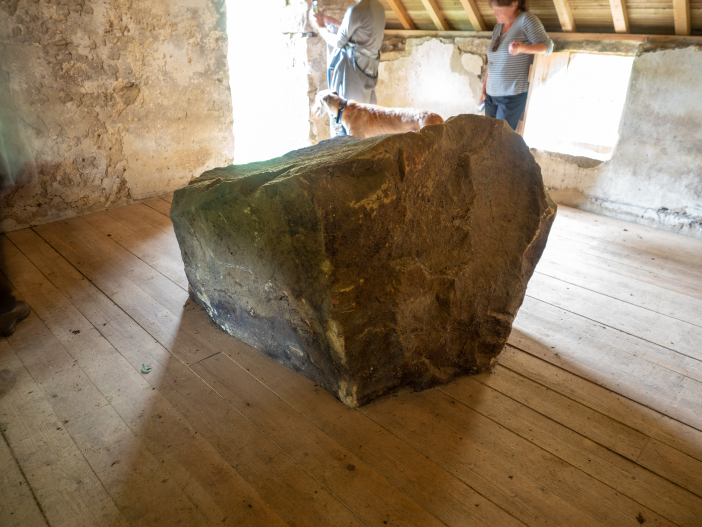 Click image for larger version  Name:	20210815-P8156356.jpg Views:	1 Size:	1.00 MB ID:	843015