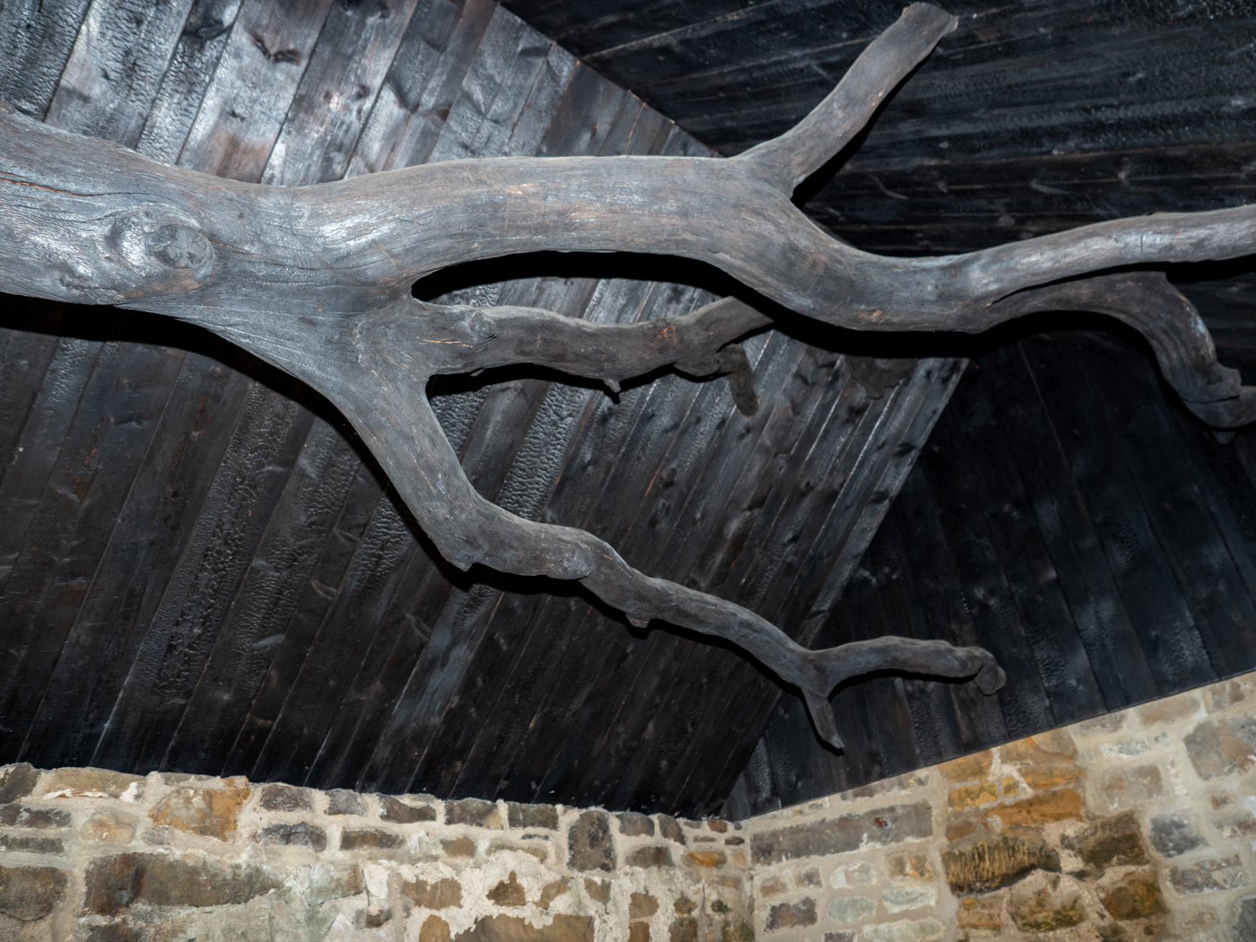 Click image for larger version  Name:	20210815-P8156423.jpg Views:	1 Size:	1.05 MB ID:	843016