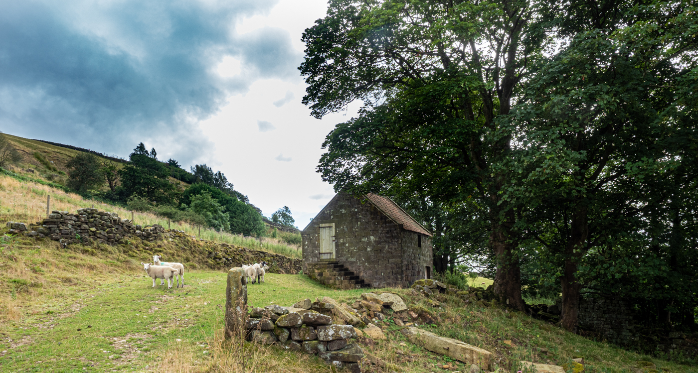 Click image for larger version  Name:	20210815-P8156343.jpg Views:	1 Size:	1.26 MB ID:	843019