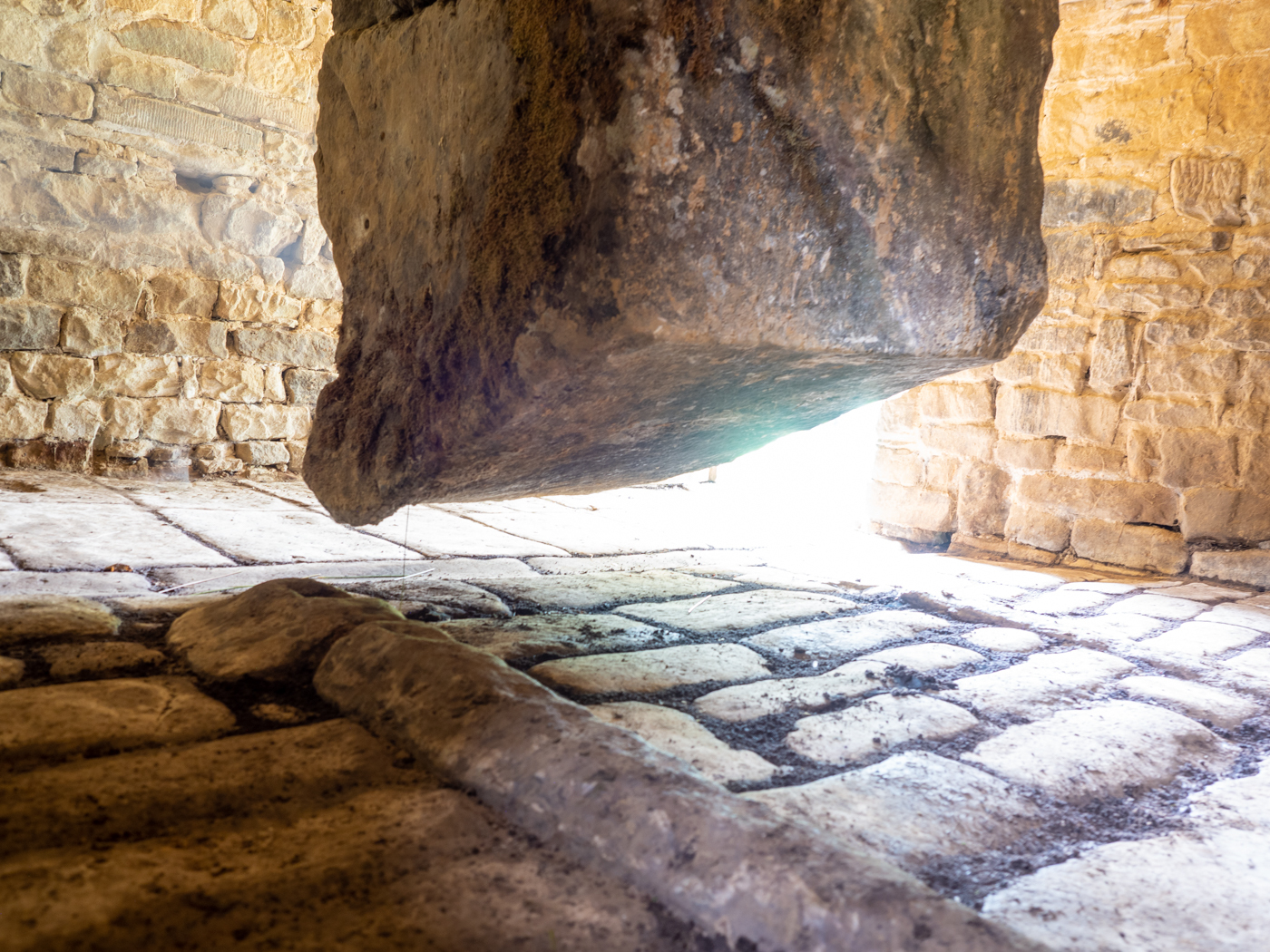 Click image for larger version  Name:	20210815-P8156380.jpg Views:	1 Size:	1.28 MB ID:	843020