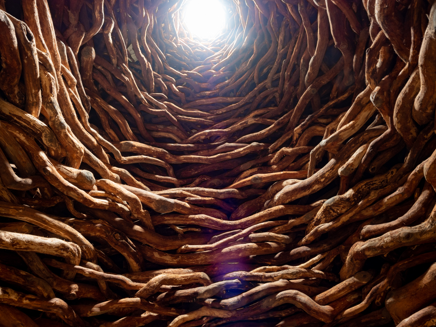 Click image for larger version  Name:	20210815-P8156405.jpg Views:	1 Size:	1.41 MB ID:	843022