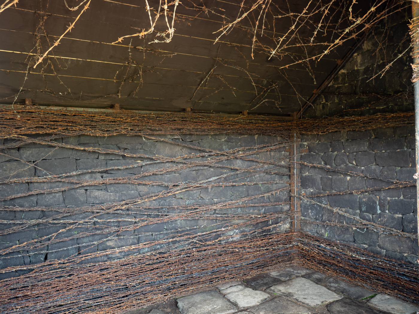 Click image for larger version

Name:	20210815-P8156461.jpg
Views:	680
Size:	1.62 MB
ID:	843042