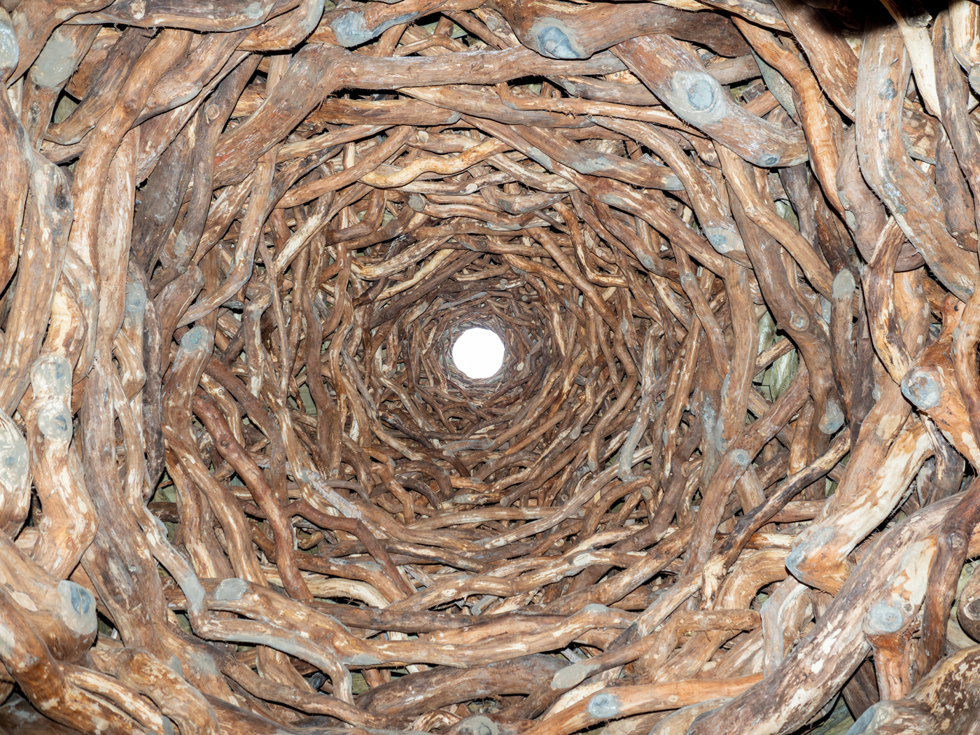 Click image for larger version  Name:	20210815-P8156409.jpg Views:	1 Size:	1.83 MB ID:	843023