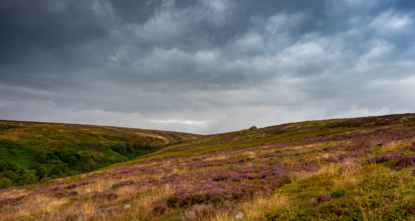 Click image for larger version  Name:	20210815-P8156480.jpg Views:	0 Size:	940.0 KB ID:	843217