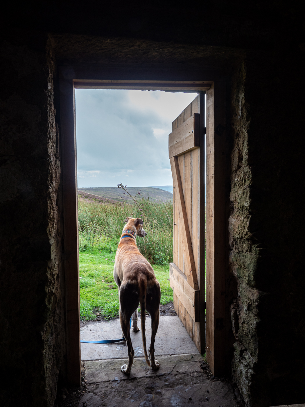 Click image for larger version  Name:	20210815-P8156495.jpg Views:	0 Size:	961.9 KB ID:	843220