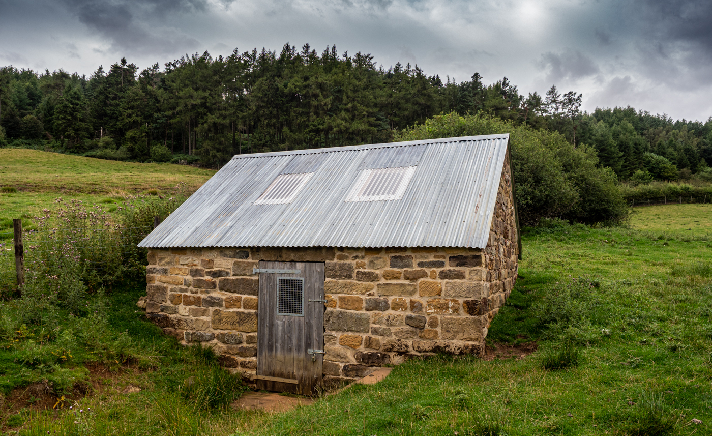 Click image for larger version  Name:	20210815-P8156597.jpg Views:	0 Size:	1.42 MB ID:	843228