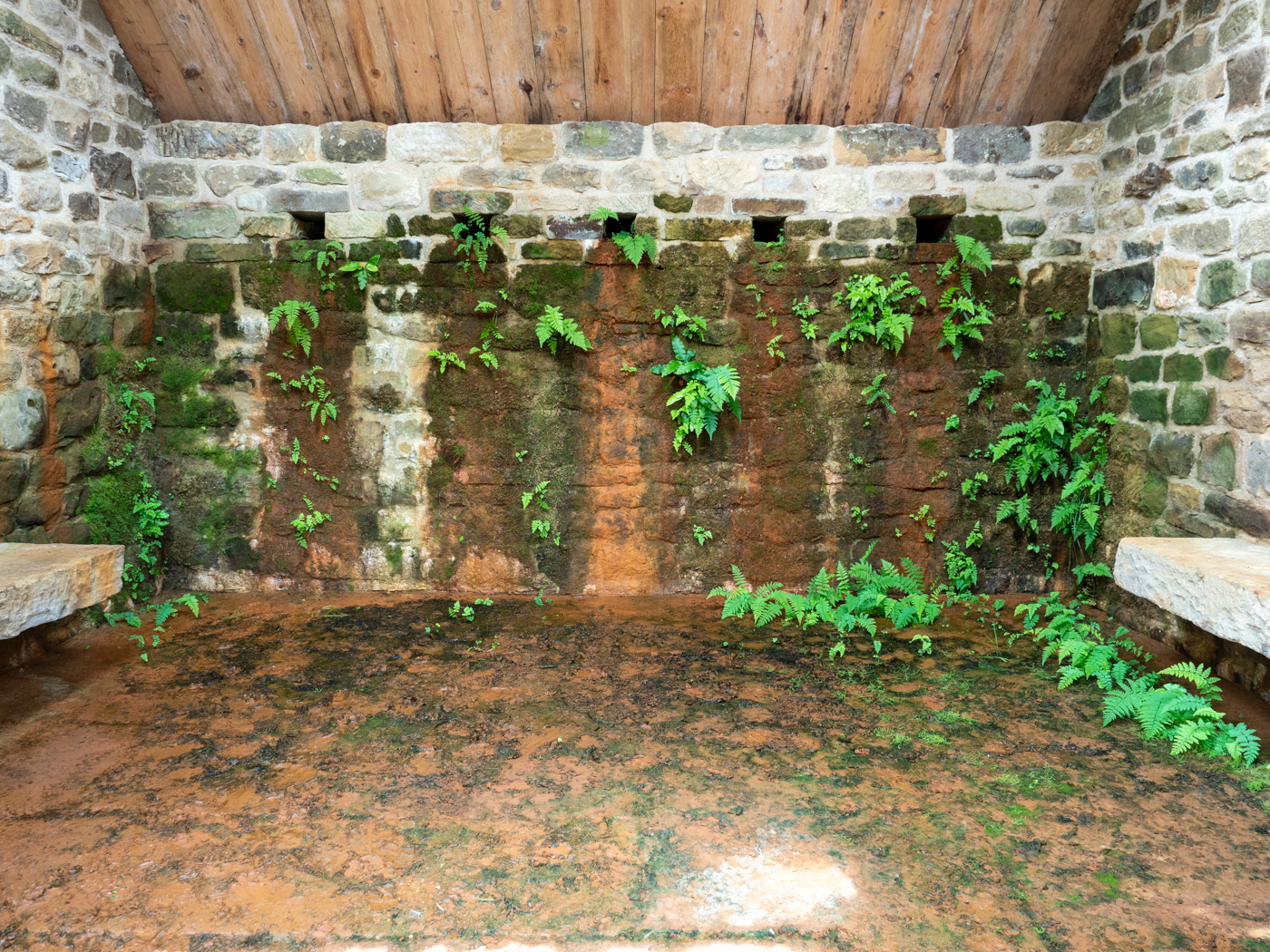 Click image for larger version  Name:	20210815-P8156599.jpg Views:	0 Size:	1.85 MB ID:	843230