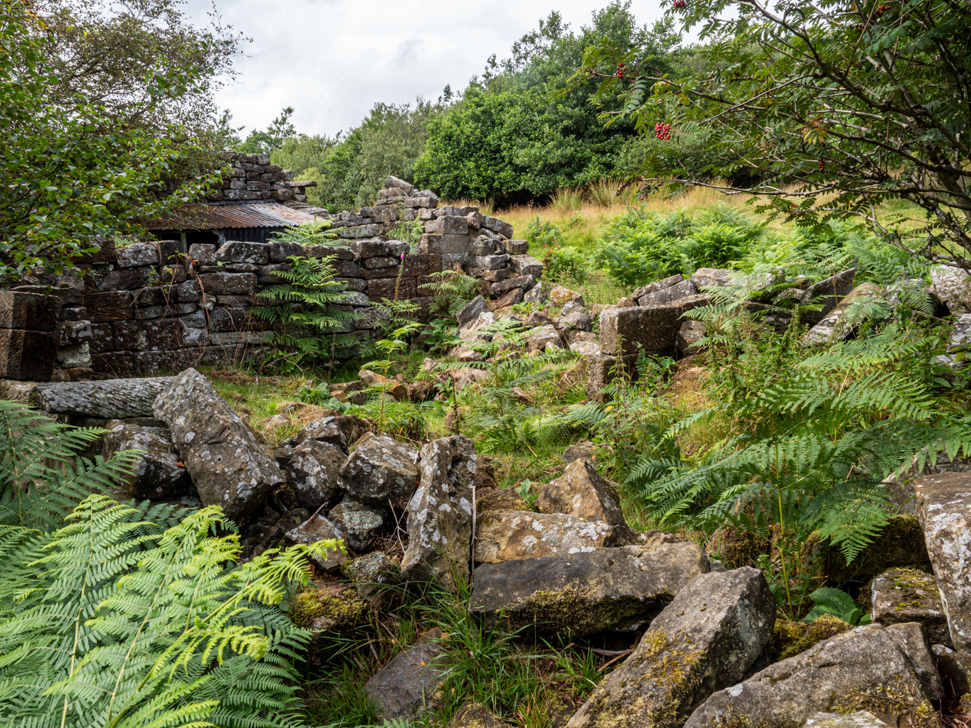 Click image for larger version  Name:	20210815-P8156537.jpg Views:	0 Size:	2.15 MB ID:	843231