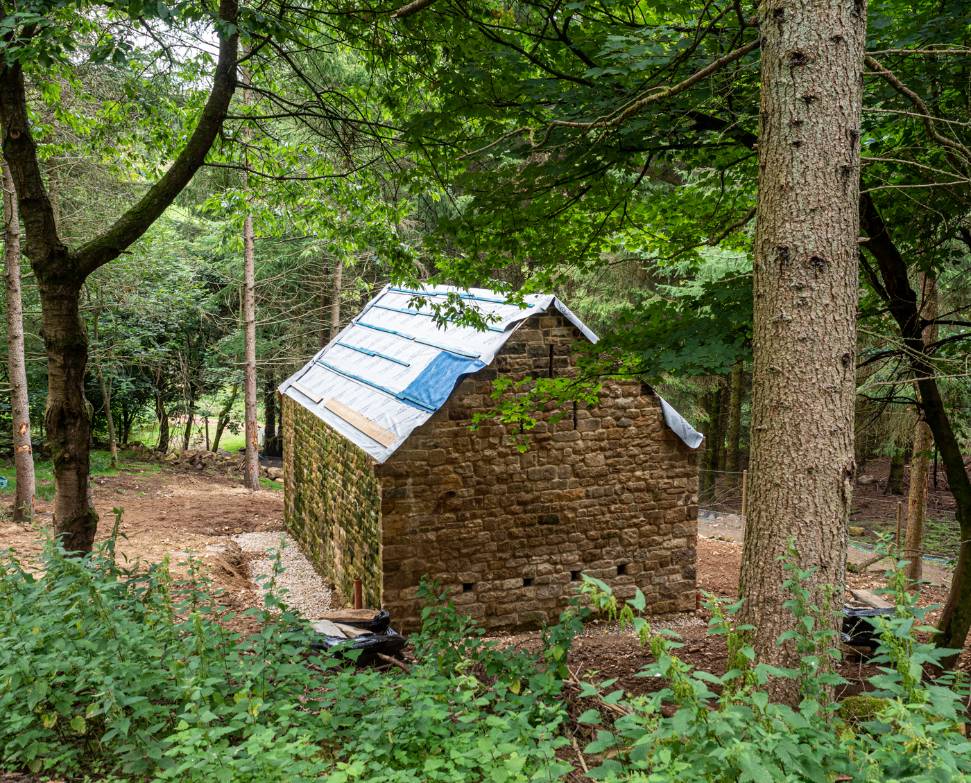 Click image for larger version  Name:	20210815-P8156602.jpg Views:	0 Size:	2.37 MB ID:	843232