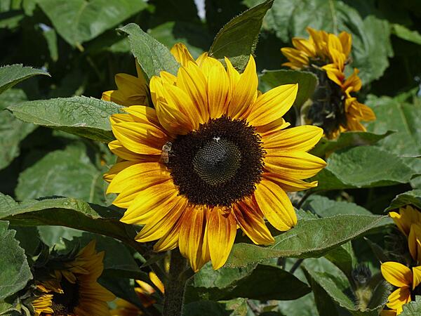 Click image for larger version

Name:	P1050496.jpg
Views:	363
Size:	239.1 KB
ID:	845250