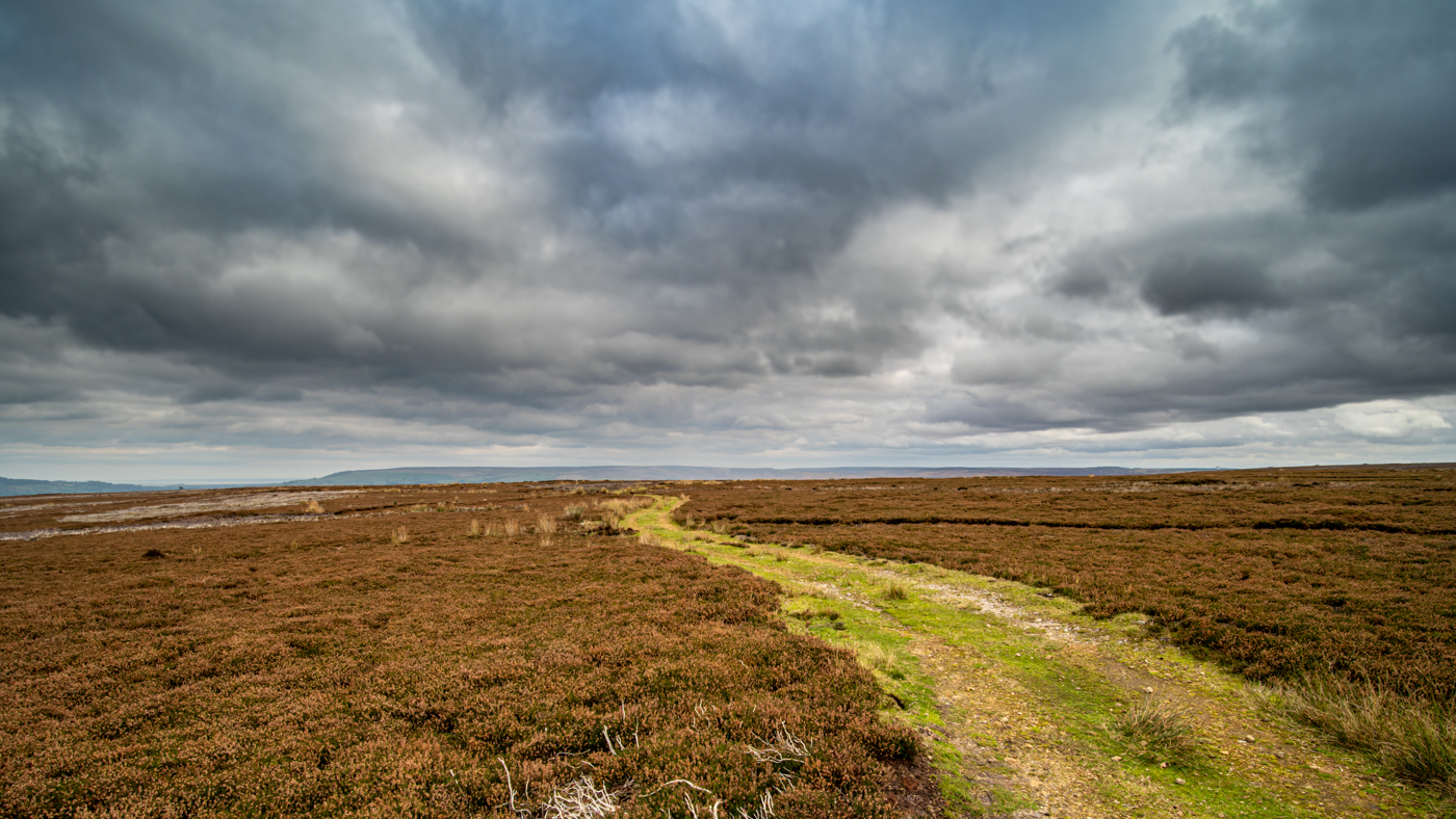 Click image for larger version  Name:	20211013_32-HDR.jpg Views:	0 Size:	1.02 MB ID:	848145