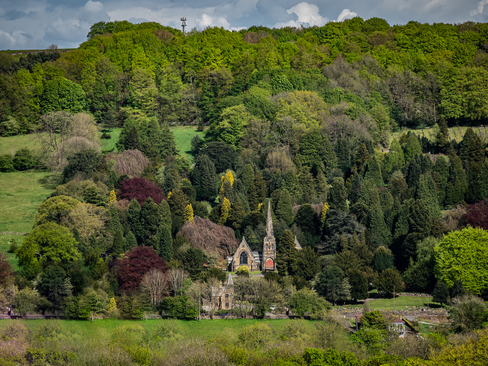 Click image for larger version

Name:	copy image.jpg
Views:	202
Size:	3.09 MB
ID:	849190