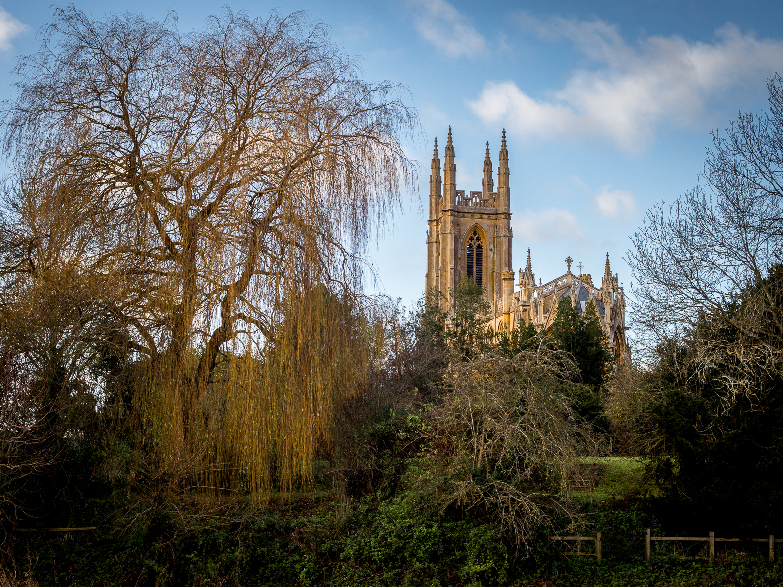 Click image for larger version

Name:	PENF0557_1600.jpg
Views:	98
Size:	2.70 MB
ID:	853797