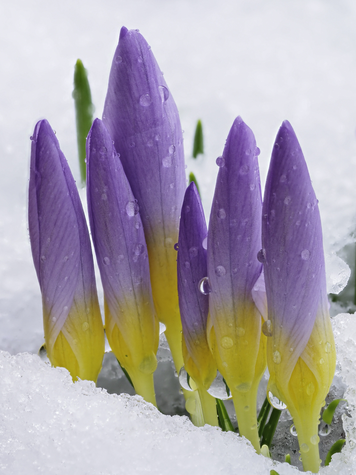 Click image for larger version  Name:	_2240028-3.jpg Views:	80 Size:	993.4 KB ID:	862409