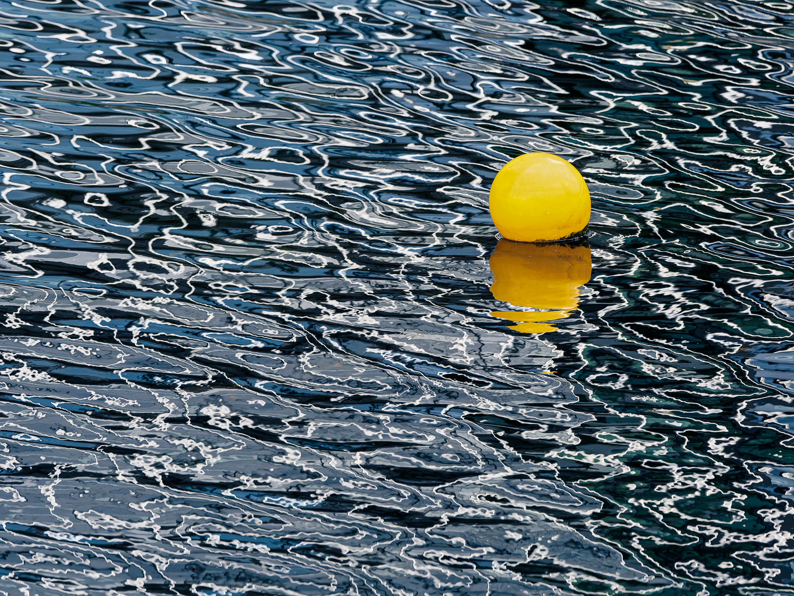 Click image for larger version

Name:	Grumpy Hec euser 12_03_22-2.jpg
Views:	145
Size:	2.31 MB
ID:	864035