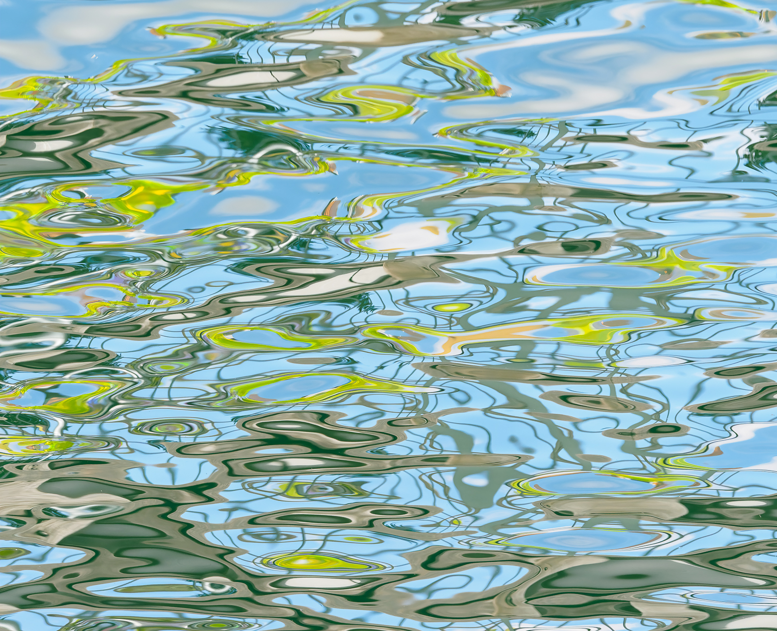 Click image for larger version

Name:	Grumpy Hec euser 12_03_22-4.jpg
Views:	142
Size:	2.00 MB
ID:	864033