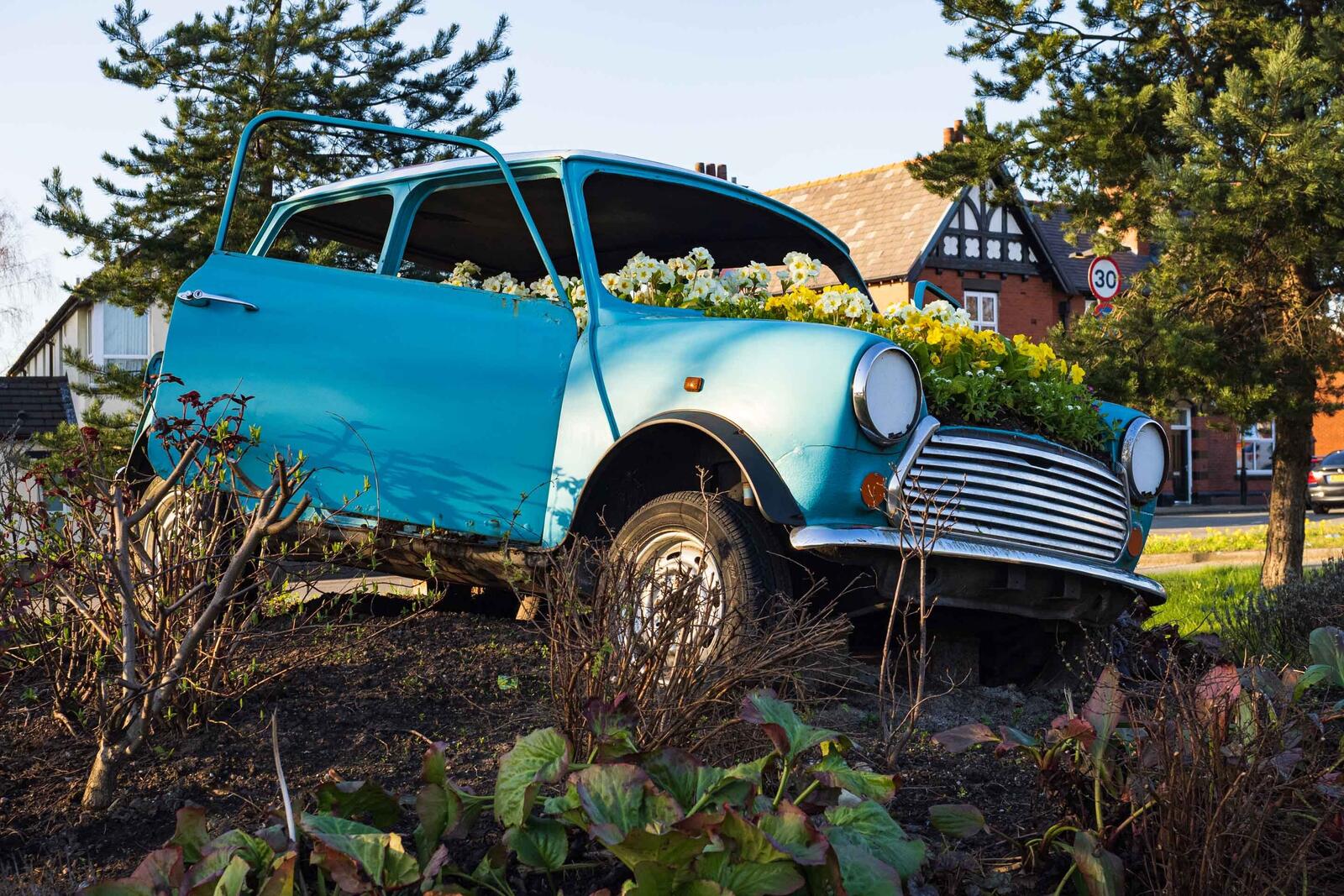 Click image for larger version  Name:	20220318 Flower Car  001.jpg Views:	14 Size:	447.6 KB ID:	865543